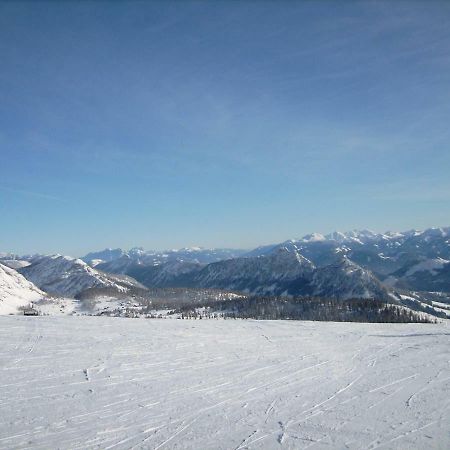 Weideblick Daire Tauplitz Dış mekan fotoğraf