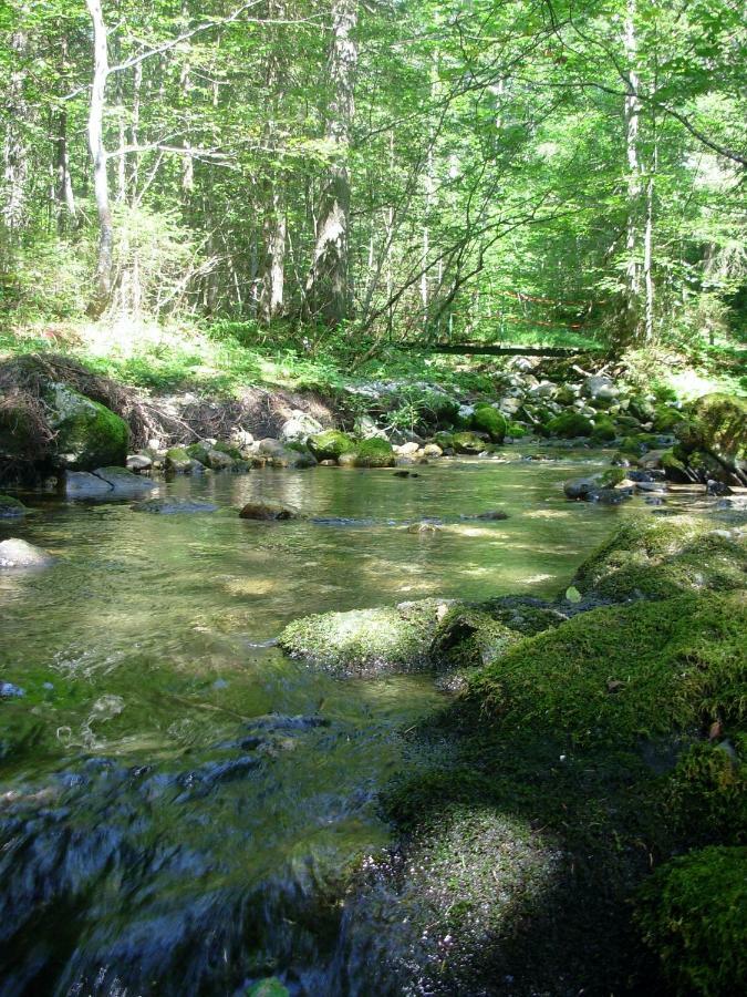 Weideblick Daire Tauplitz Dış mekan fotoğraf