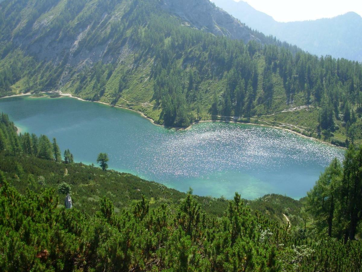 Weideblick Daire Tauplitz Dış mekan fotoğraf