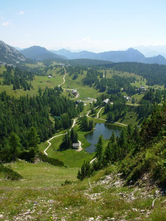 Weideblick Daire Tauplitz Dış mekan fotoğraf