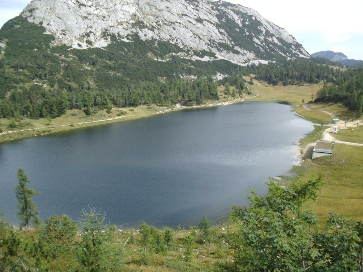 Weideblick Daire Tauplitz Dış mekan fotoğraf