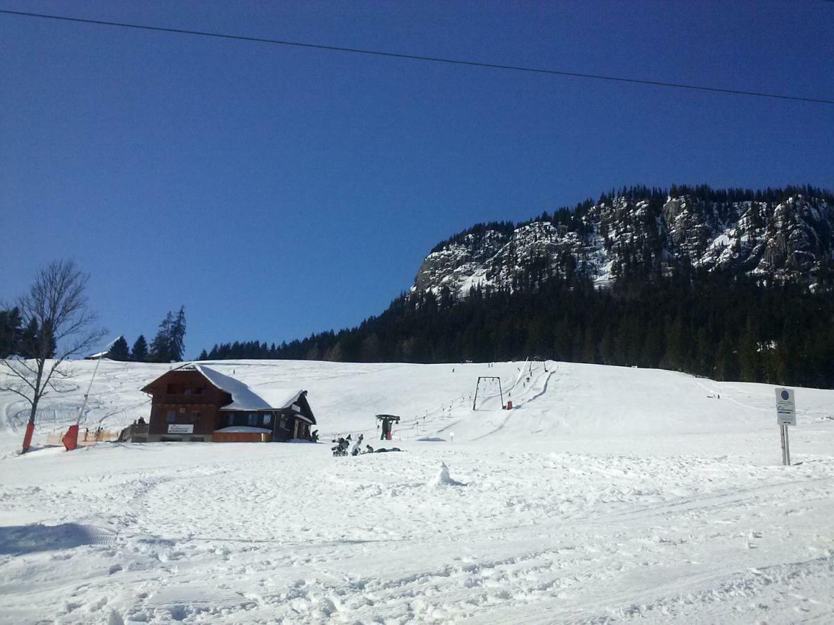 Weideblick Daire Tauplitz Dış mekan fotoğraf