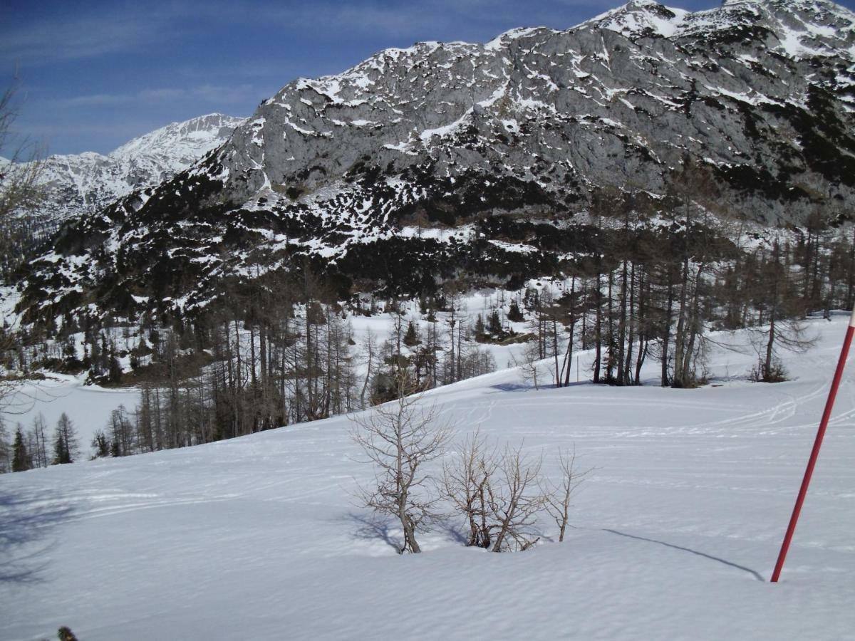 Weideblick Daire Tauplitz Dış mekan fotoğraf