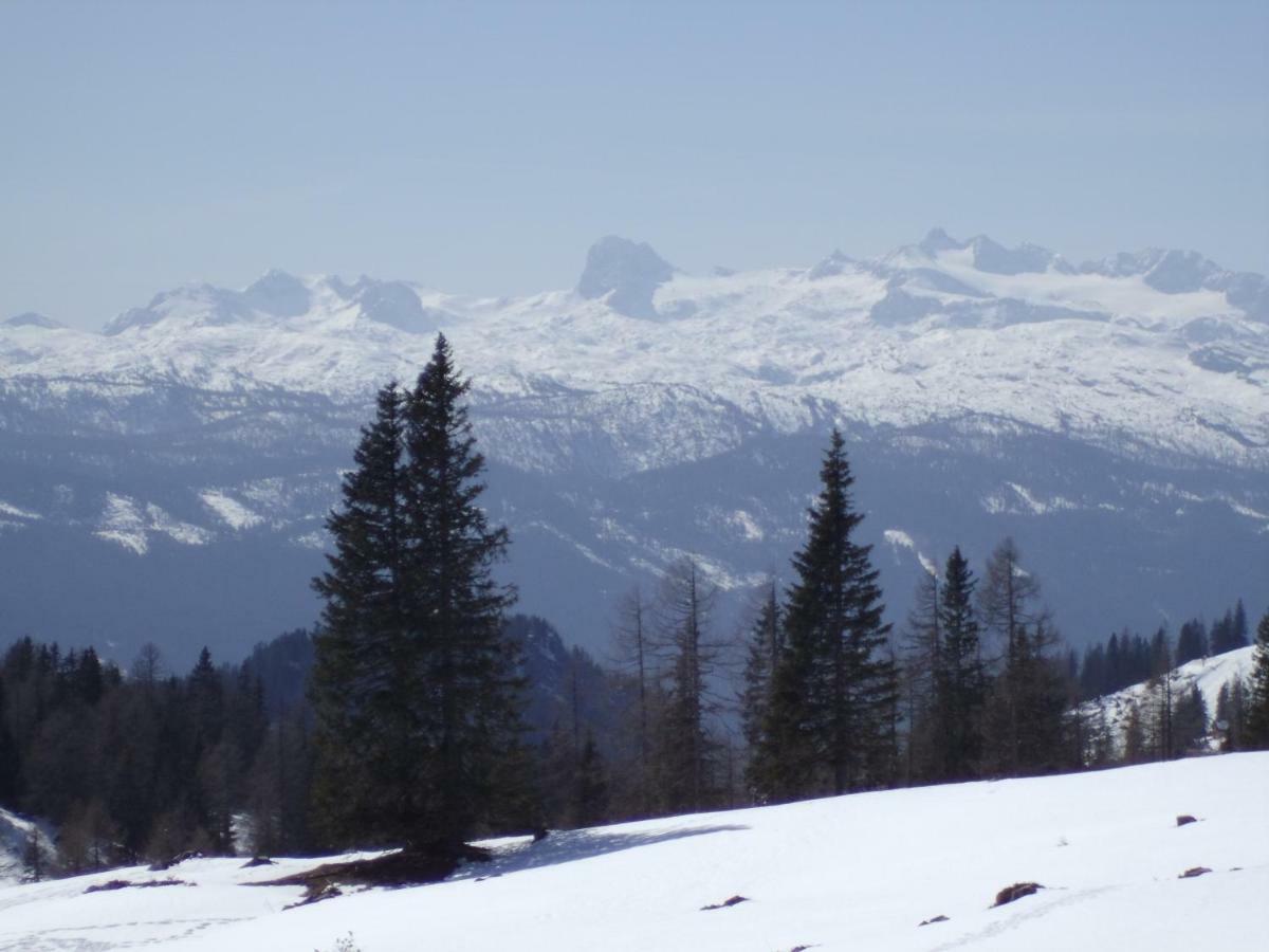 Weideblick Daire Tauplitz Dış mekan fotoğraf