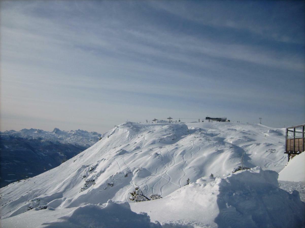 Weideblick Daire Tauplitz Dış mekan fotoğraf