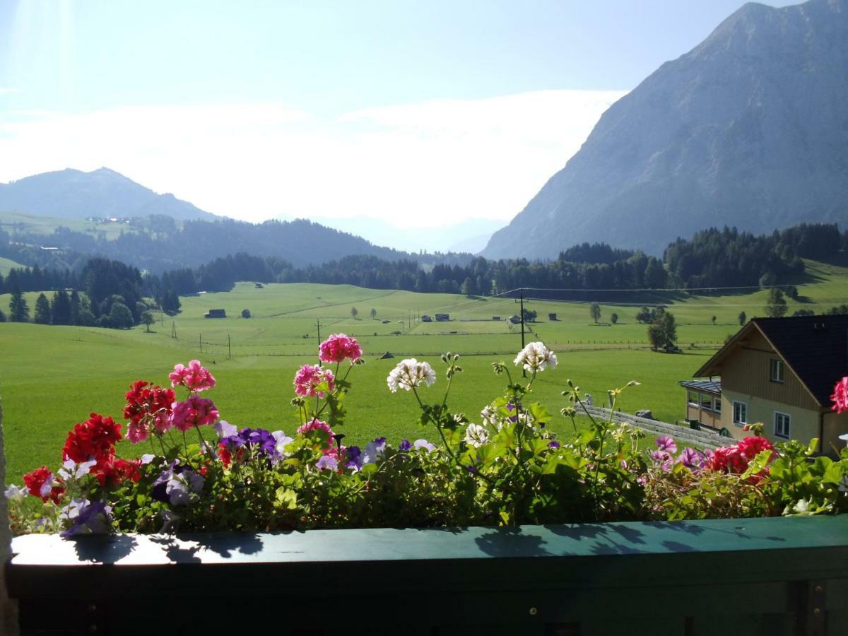 Weideblick Daire Tauplitz Dış mekan fotoğraf